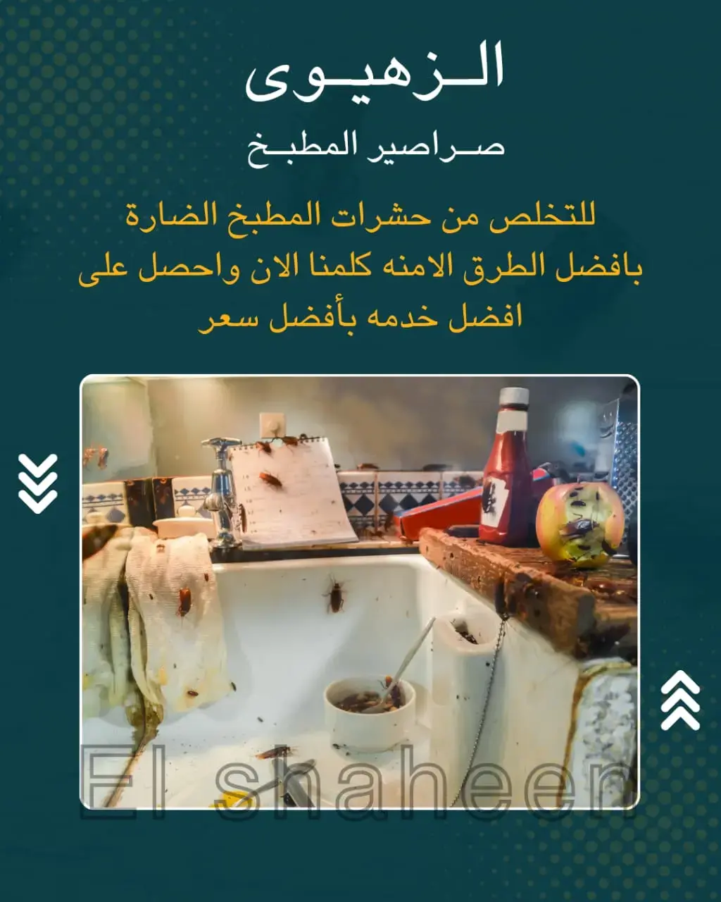 best pest controls company in kuwait