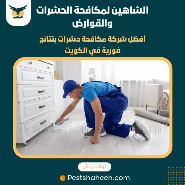 افضل شركة مكافحة حشرات وقوارض بالكويت