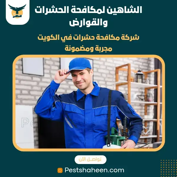 افضل شركة مكافحة حشرات وقوارض بالكويت