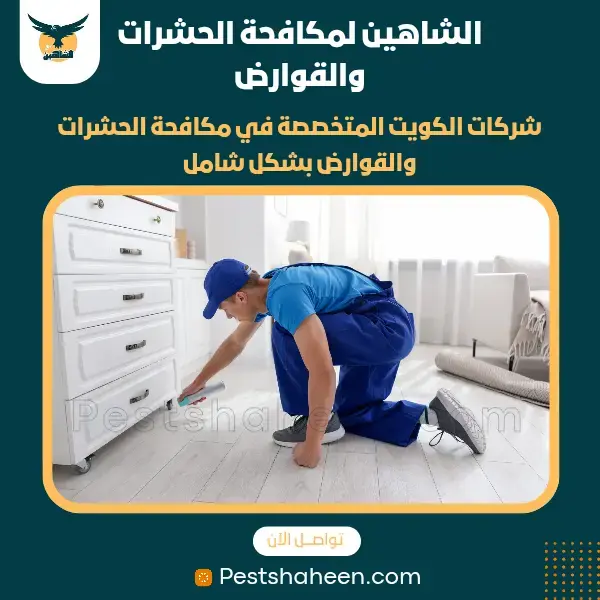 افضل شركة مكافحة حشرات وقوارض بالكويت