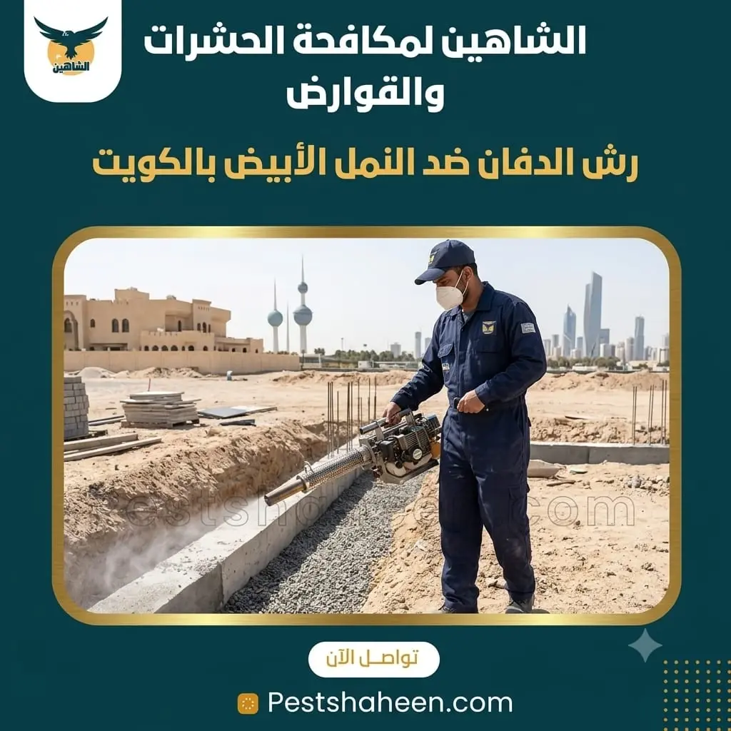 رش الدفان ضد النمل الأبيض بالكويت قبل الصبة
