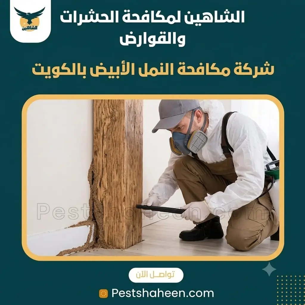 شركة مكافحة النمل الأبيض بالكويت وحماية المبنى
