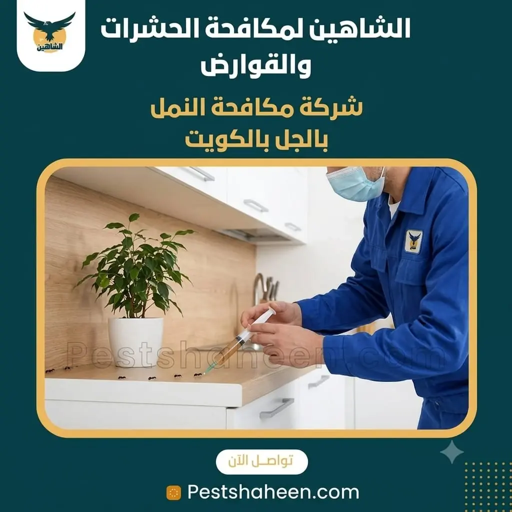 حقن جل النمل بالكويت ومتى يكون مناسبًا للإصابة؟