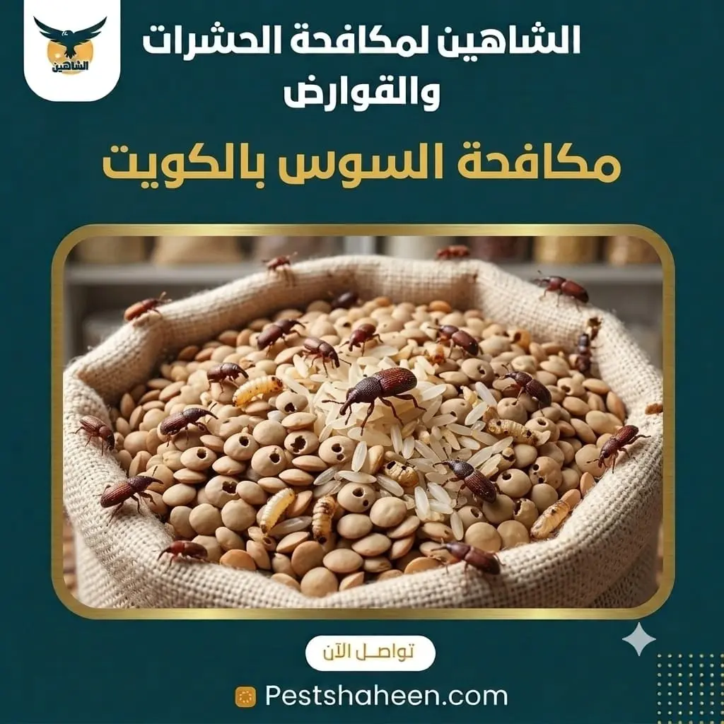 مكافحة السوس في الكويت