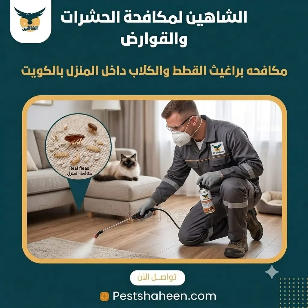 مكافحة براغيث القطط والكلاب داخل المنزل بالكويت