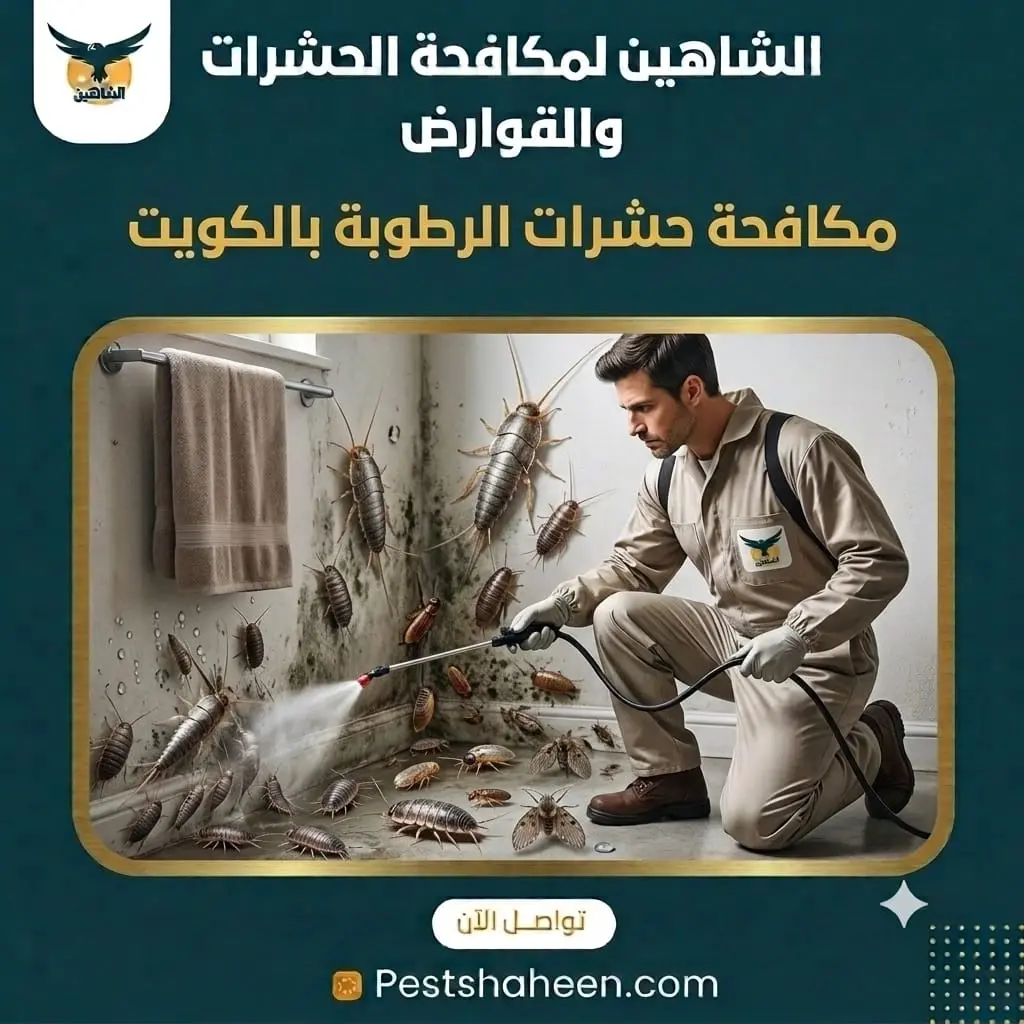 مكافحة حشرات الرطوبة بالكويت ومعالجة سبب انتشارها
