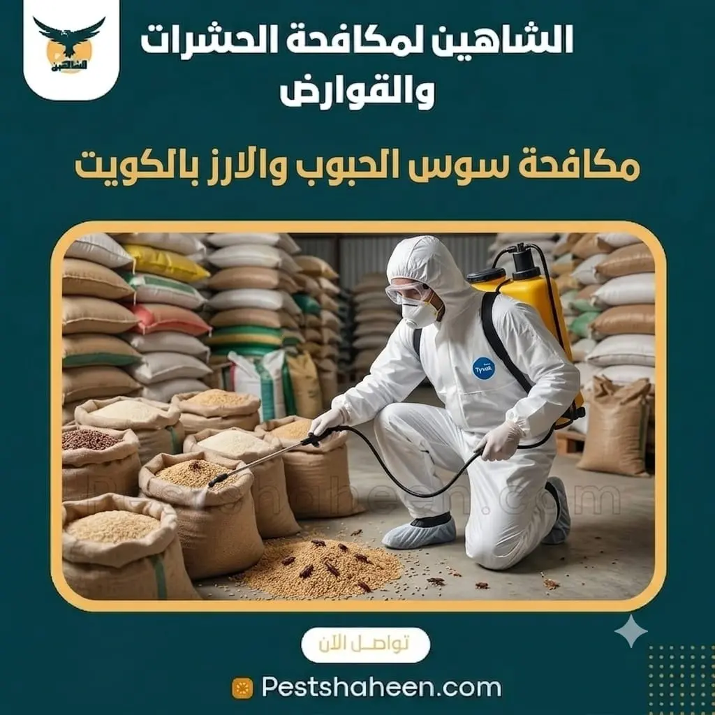 مكافحة سوس الحبوب والأرز في مطبخ المنزل