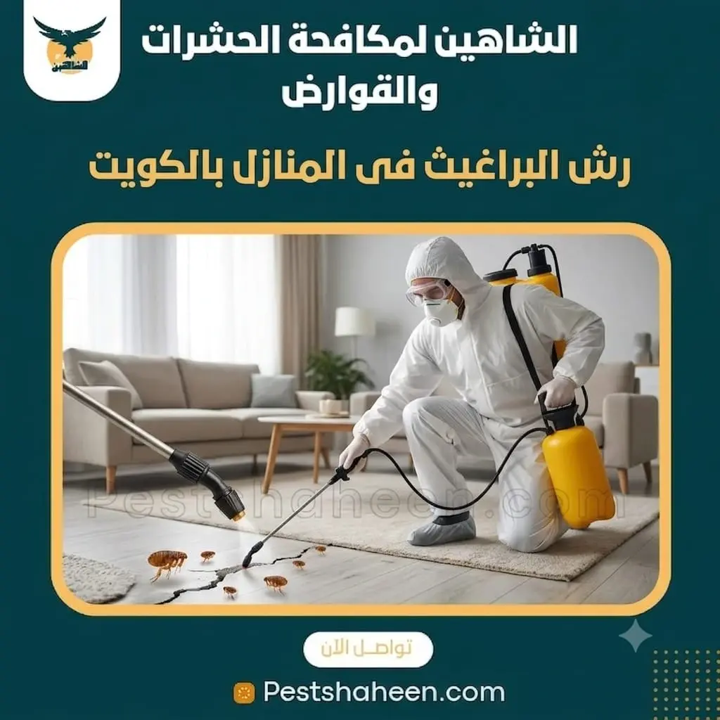 مكافحة البراغيث في الكويت