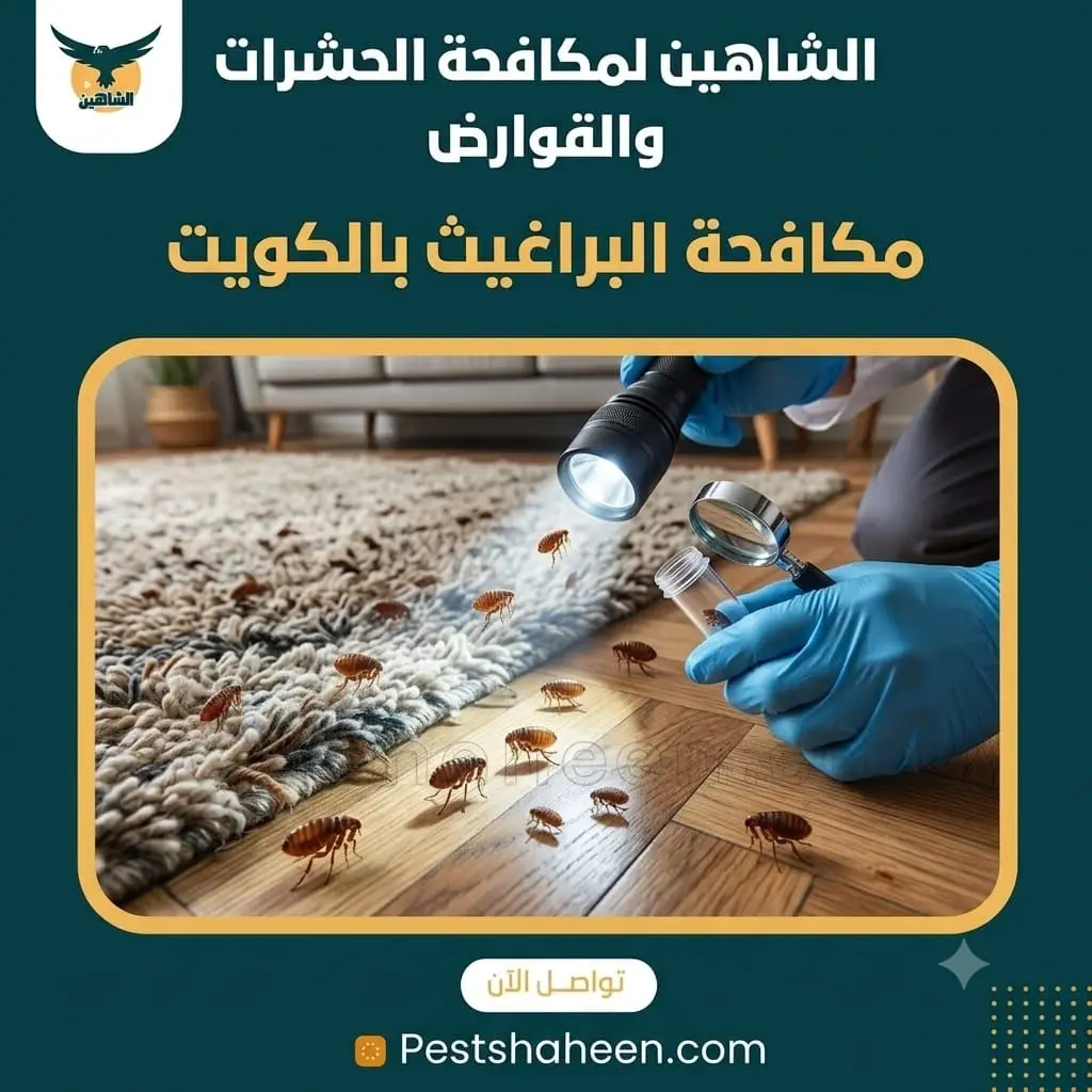 مكافحة البراغيث في الكويت