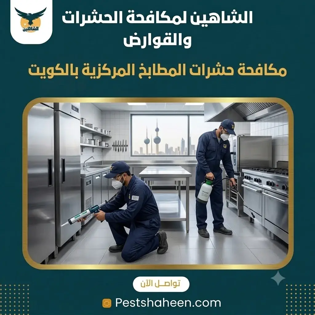 مكافحة حشرات المطابخ المركزية بالكويت