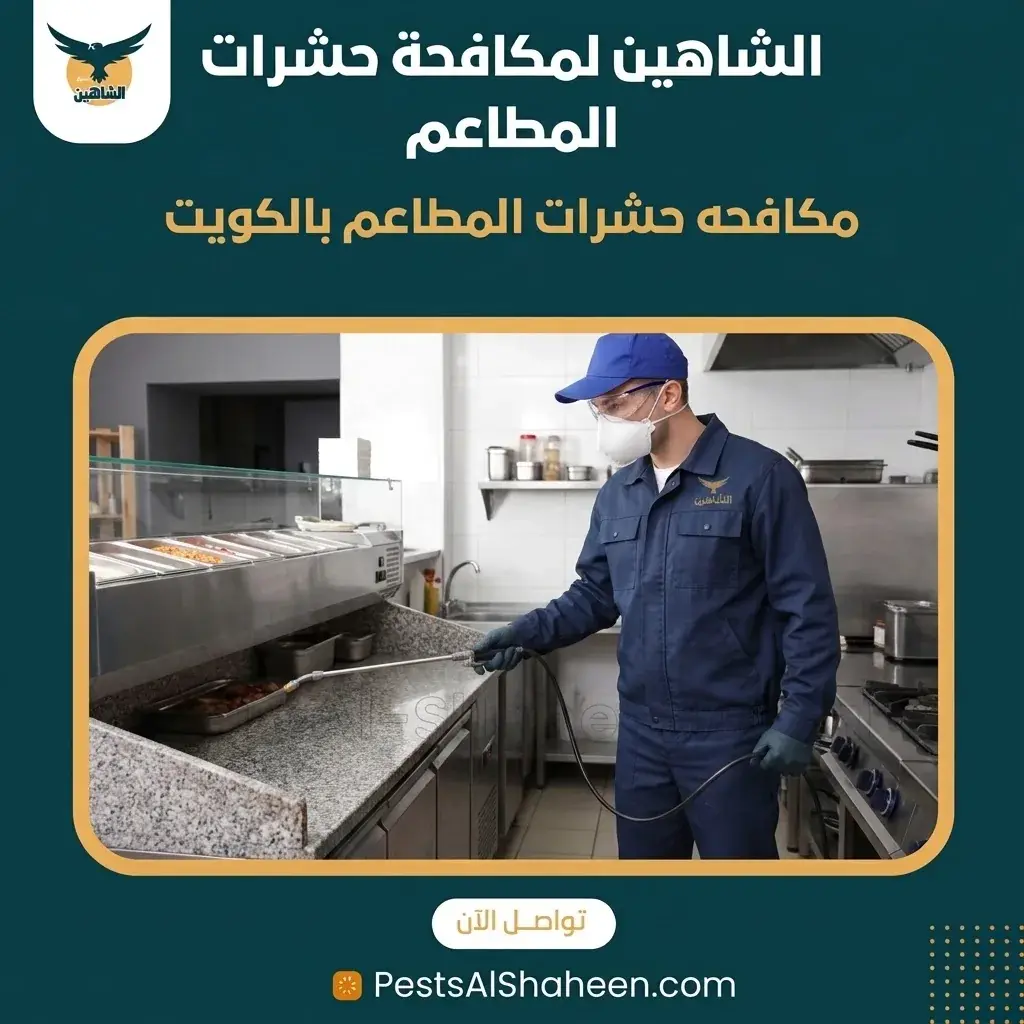 شركة مكافحة حشرات للمطاعم بالكويت بعقود متابعة
