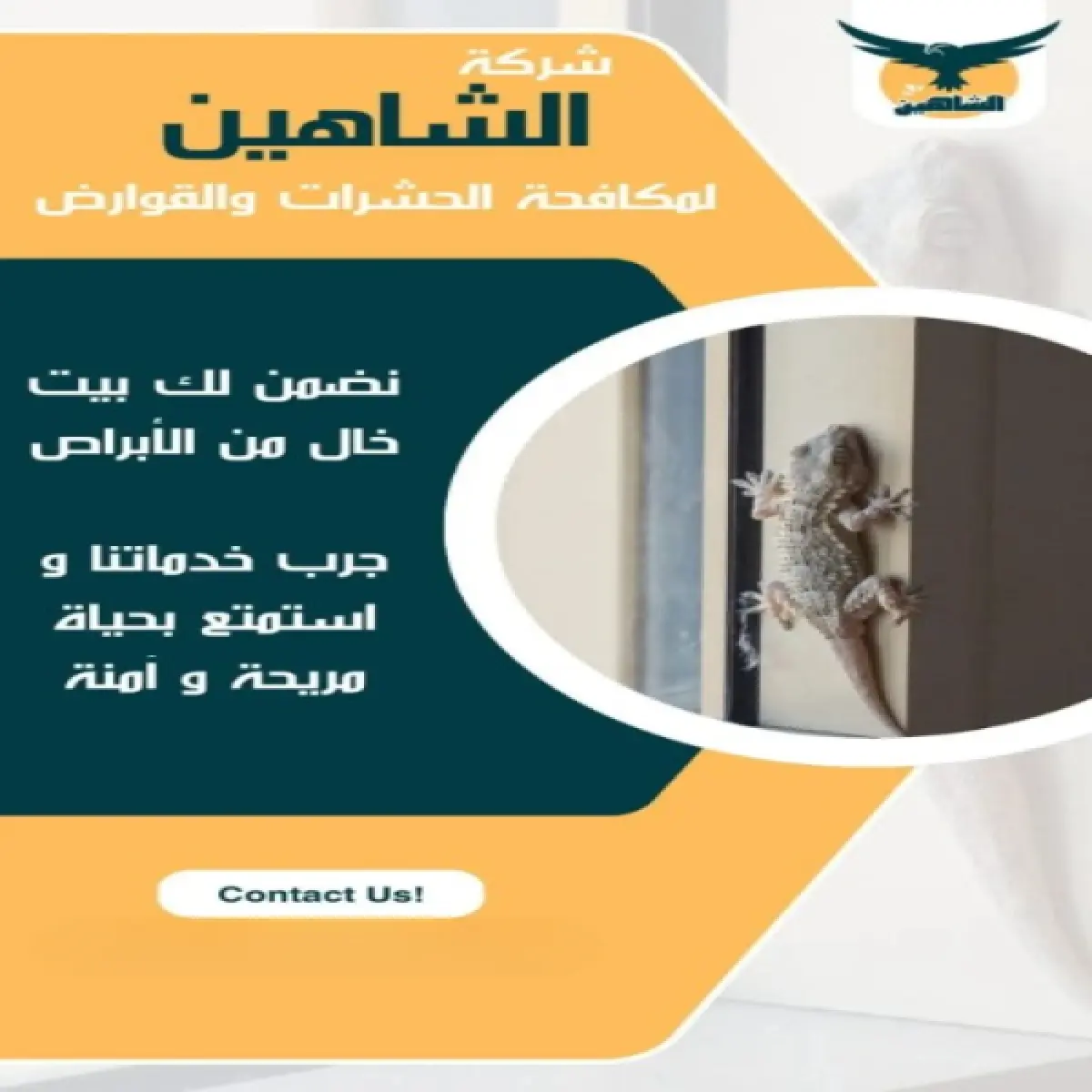 صورة من أعمالنا رقم 123