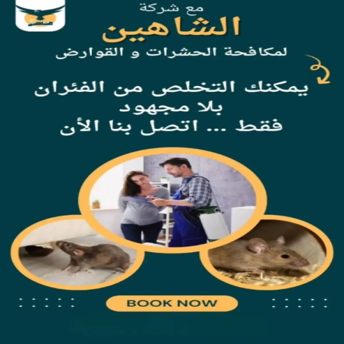 صورة من أعمالنا رقم 122