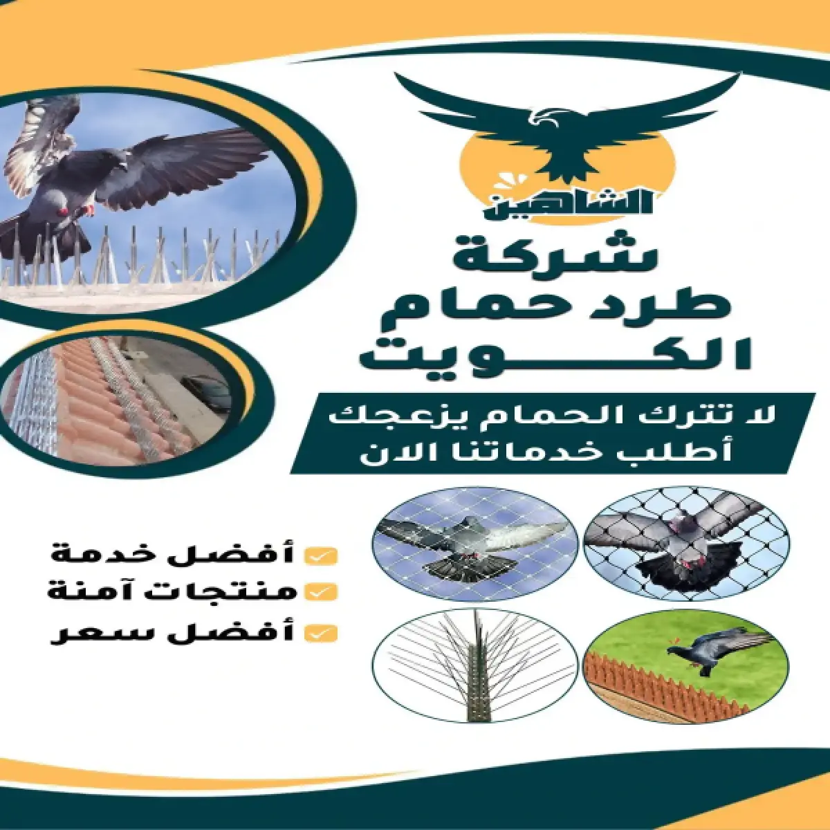 صورة من أعمالنا رقم 116