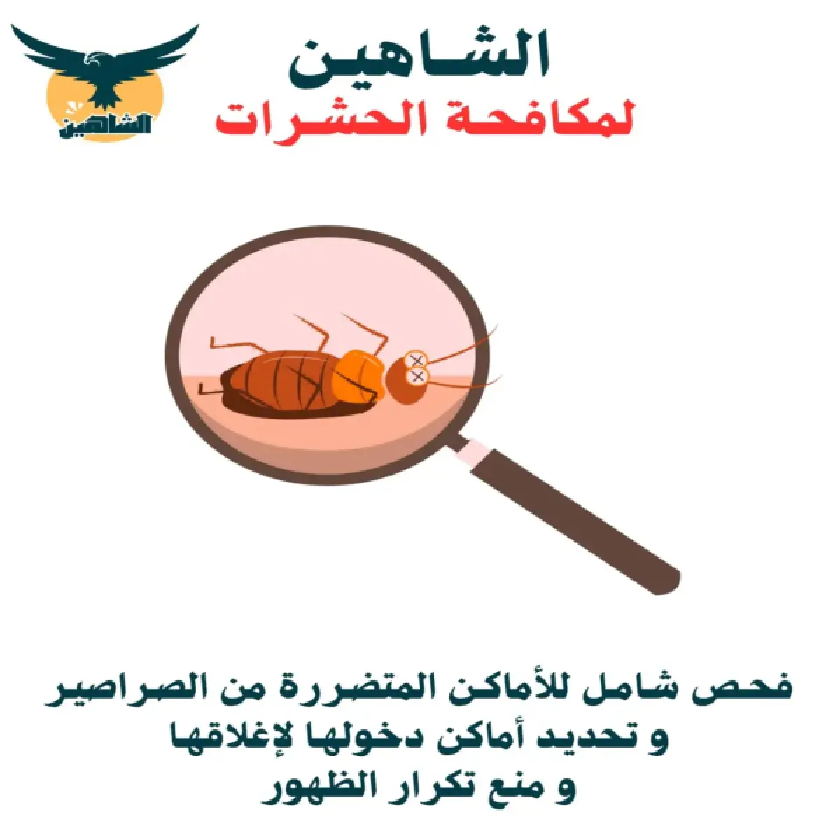 صورة من أعمالنا رقم 114