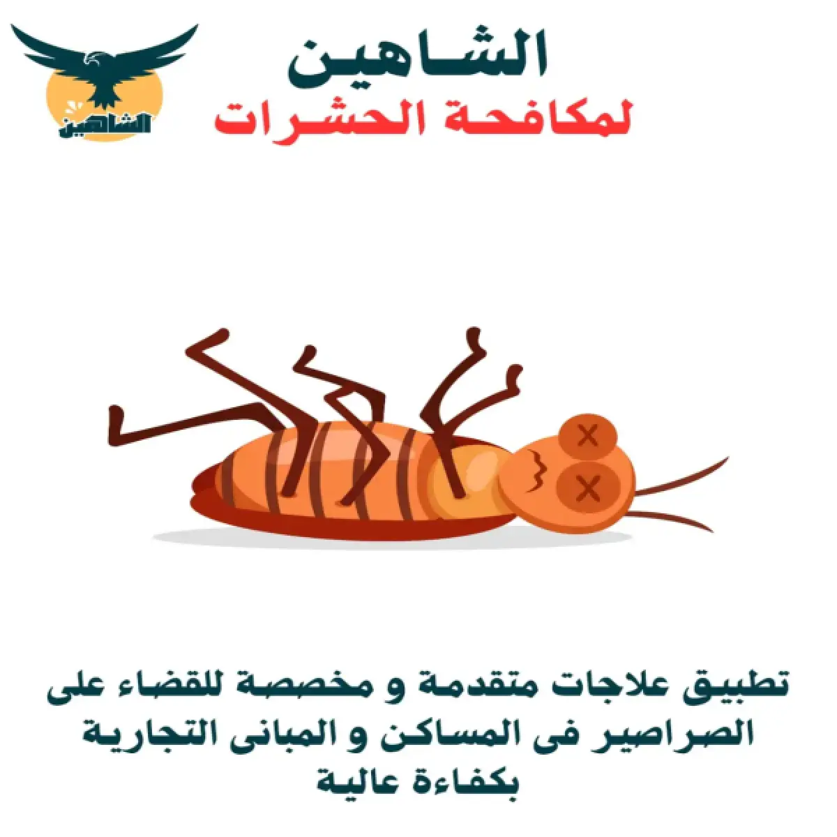 صورة من أعمالنا رقم 115