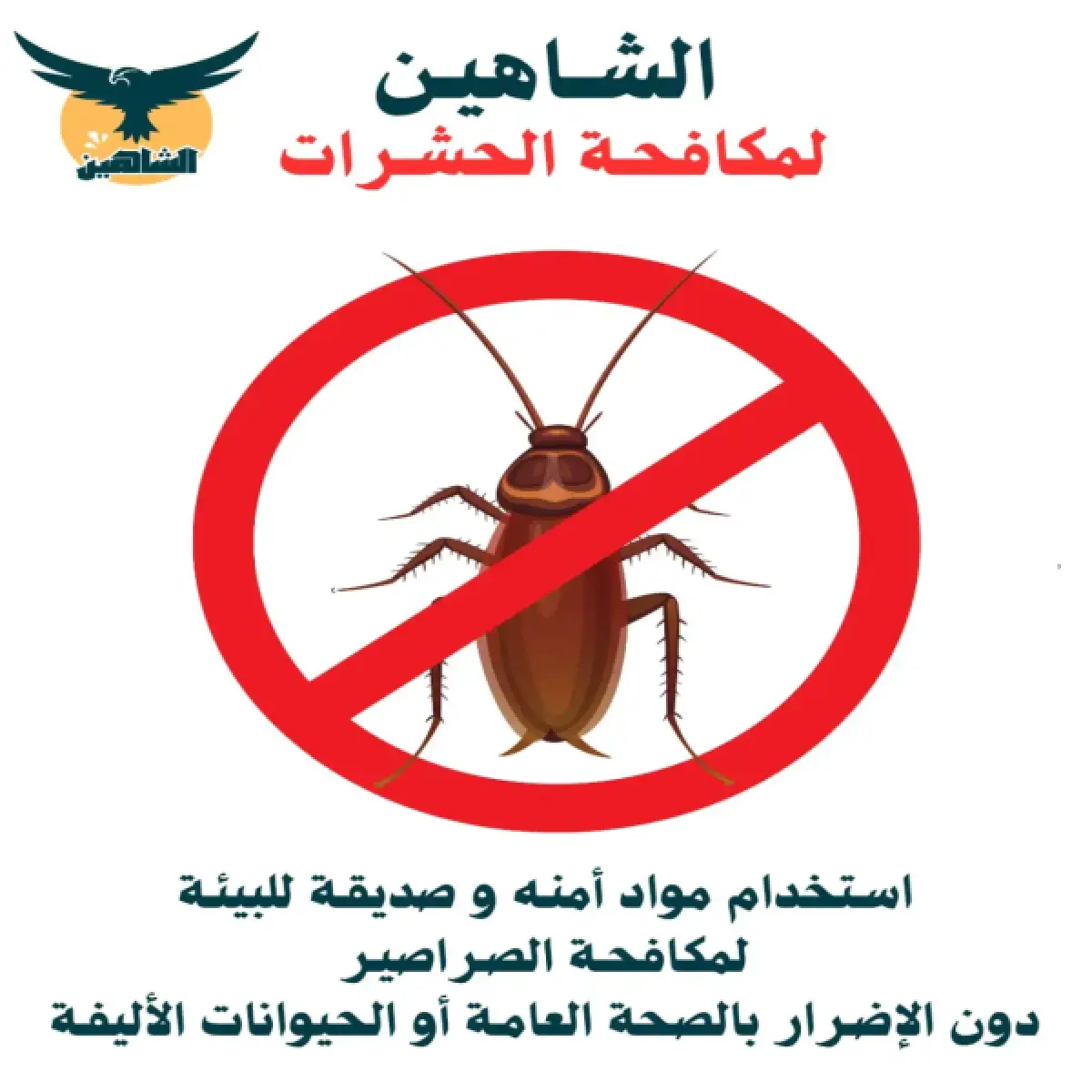 صورة من أعمالنا رقم 113