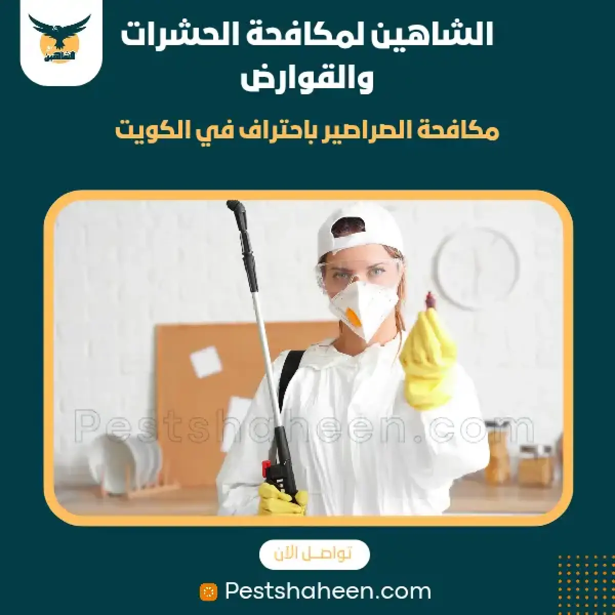 صورة من أعمالنا رقم 101