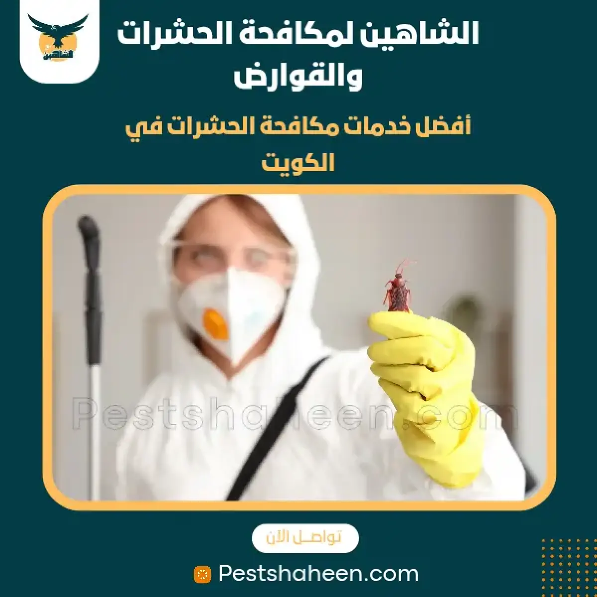صورة من أعمالنا رقم 98