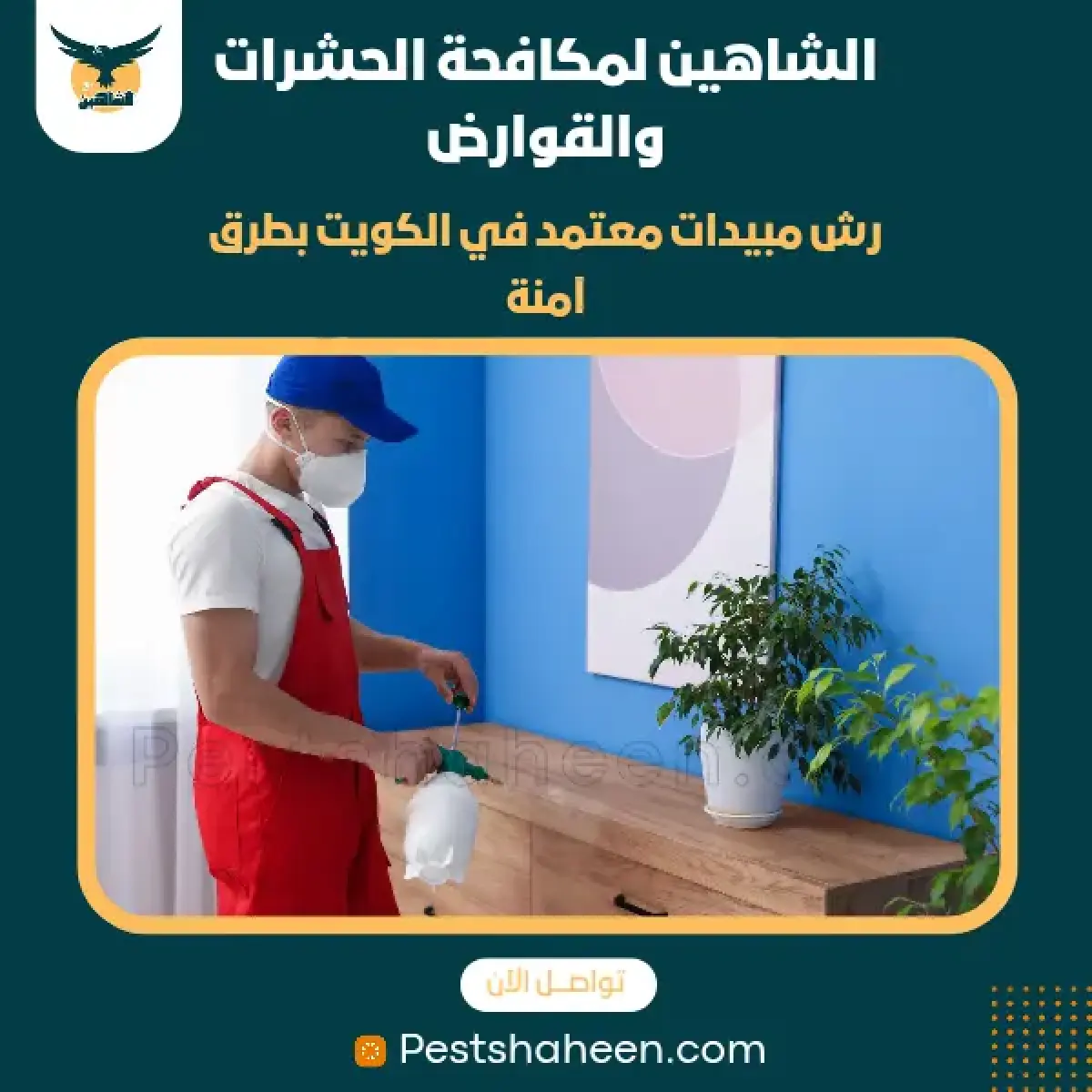 صورة من أعمالنا رقم 86