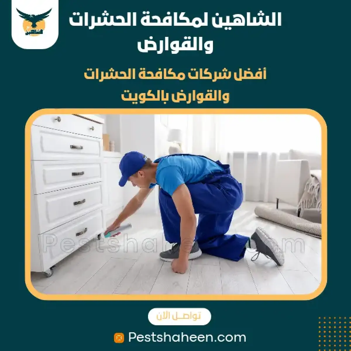 صورة من أعمالنا رقم 81