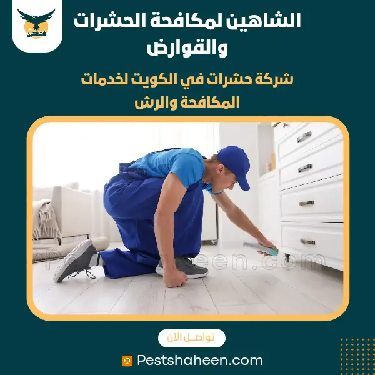 صورة من أعمالنا رقم 74