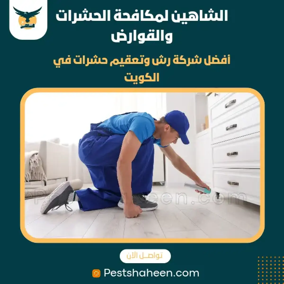 صورة من أعمالنا رقم 72