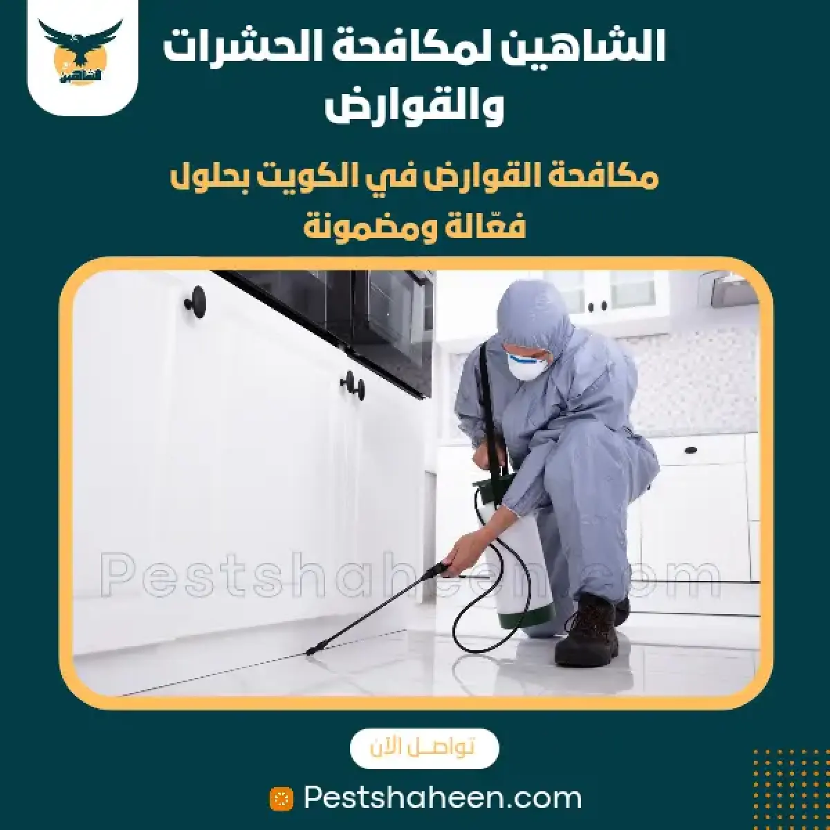 صورة من أعمالنا رقم 69