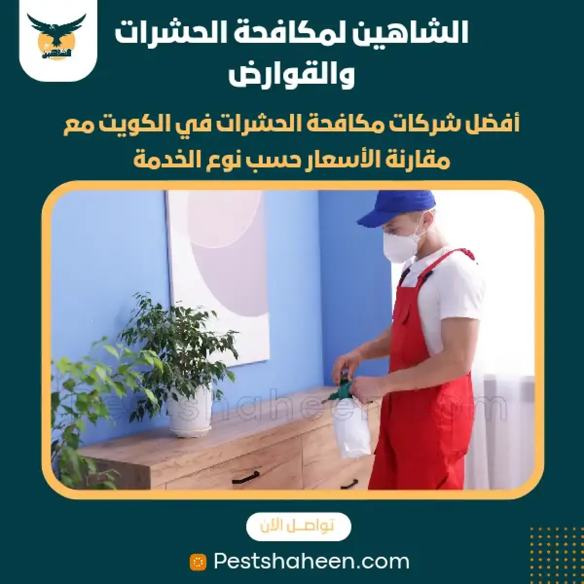 صورة من أعمالنا رقم 60