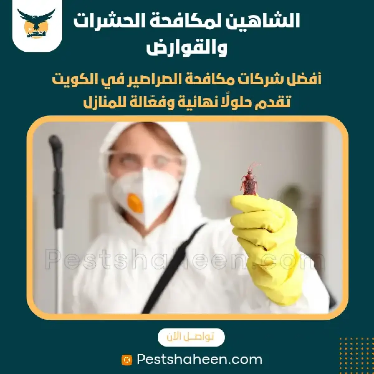 صورة من أعمالنا رقم 56