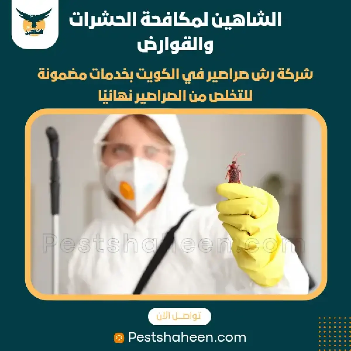 صورة من أعمالنا رقم 55