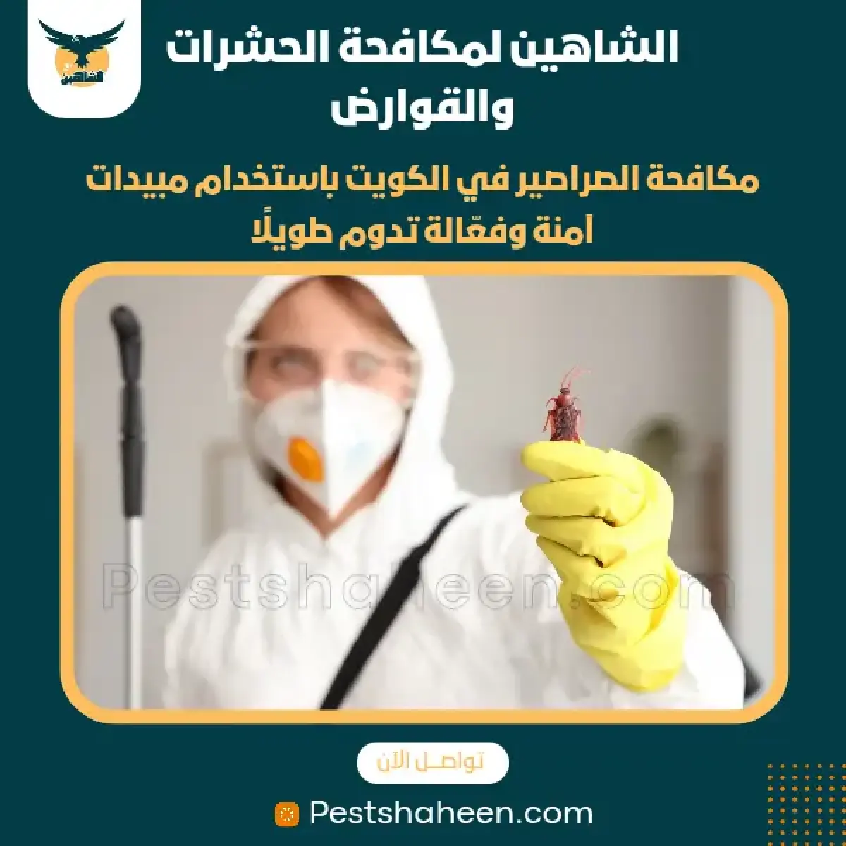 صورة من أعمالنا رقم 54