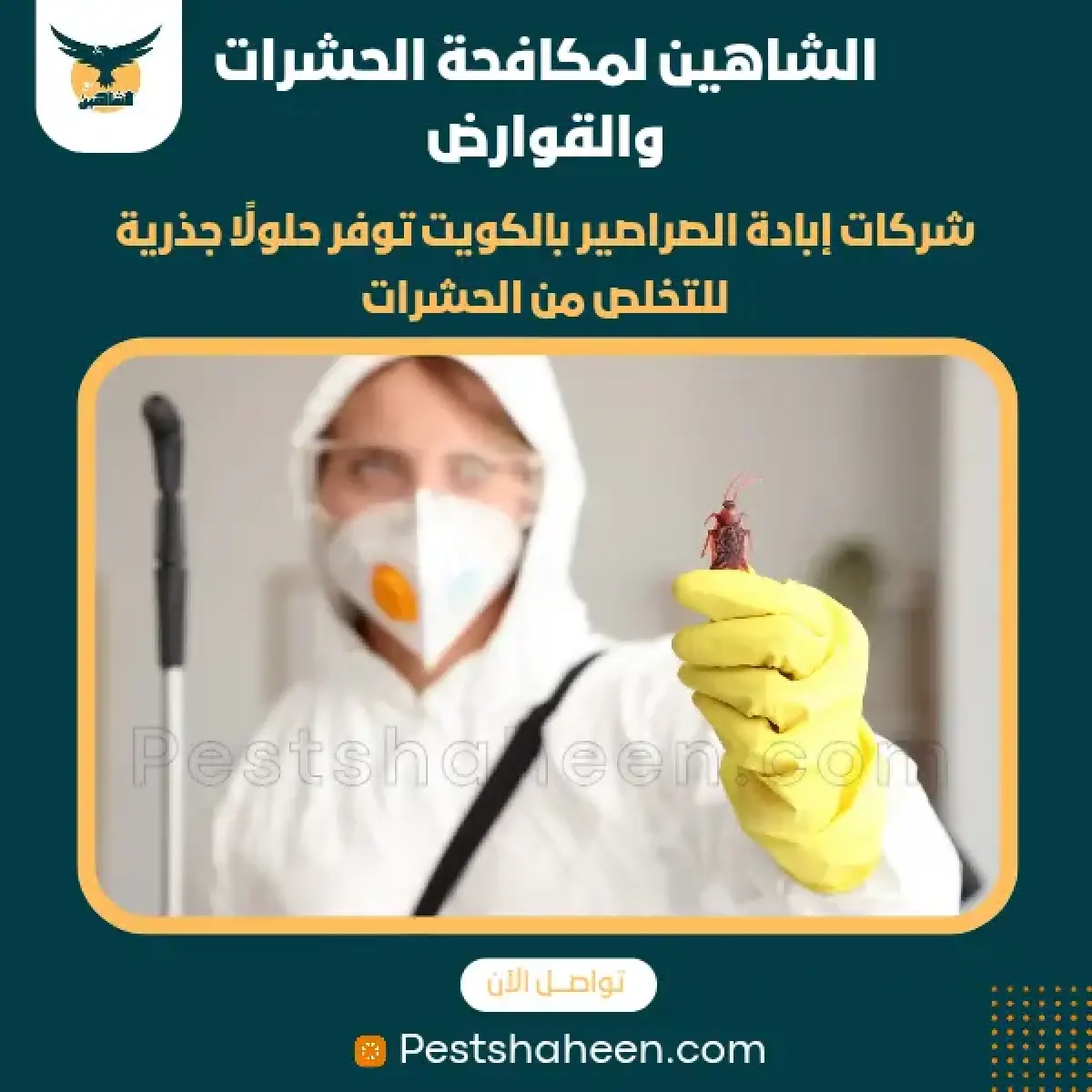 صورة من أعمالنا رقم 52