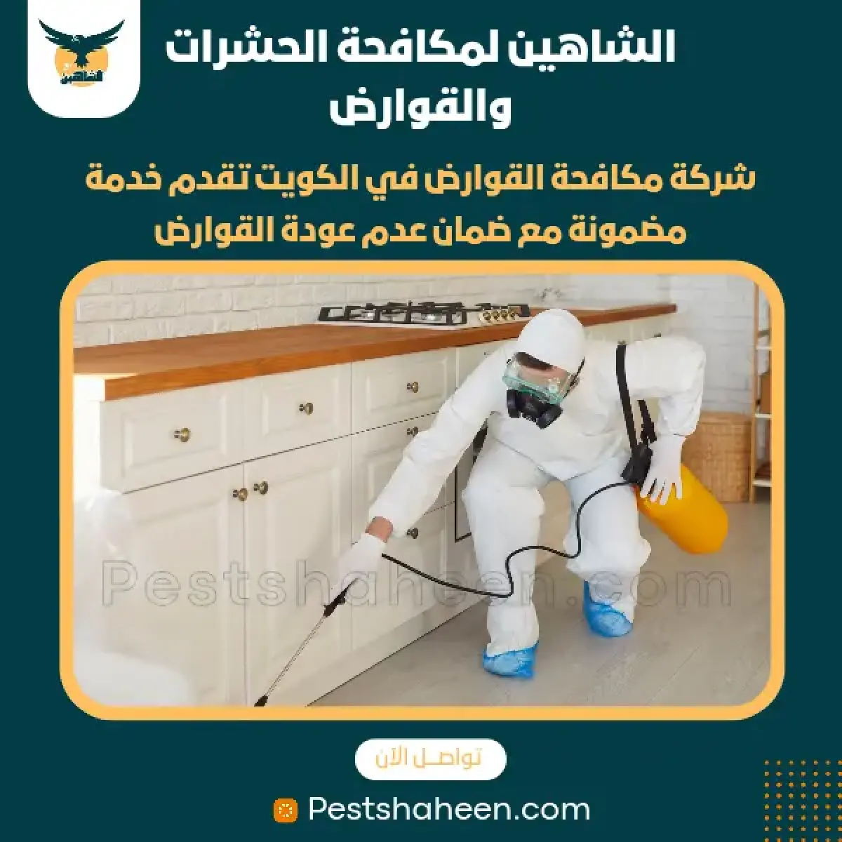 صورة من أعمالنا رقم 53