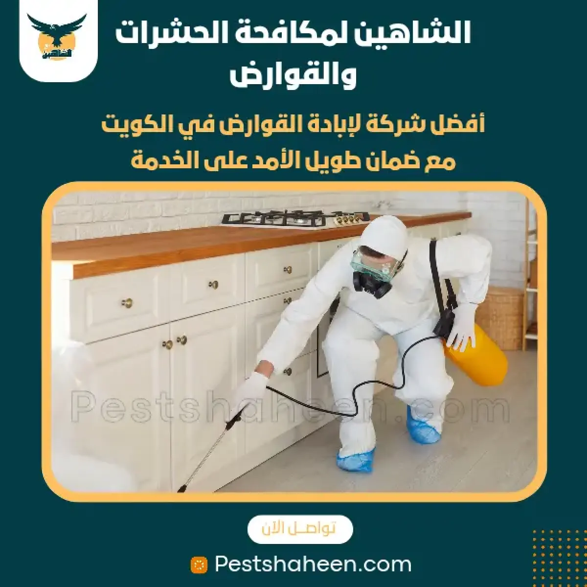 صورة من أعمالنا رقم 50