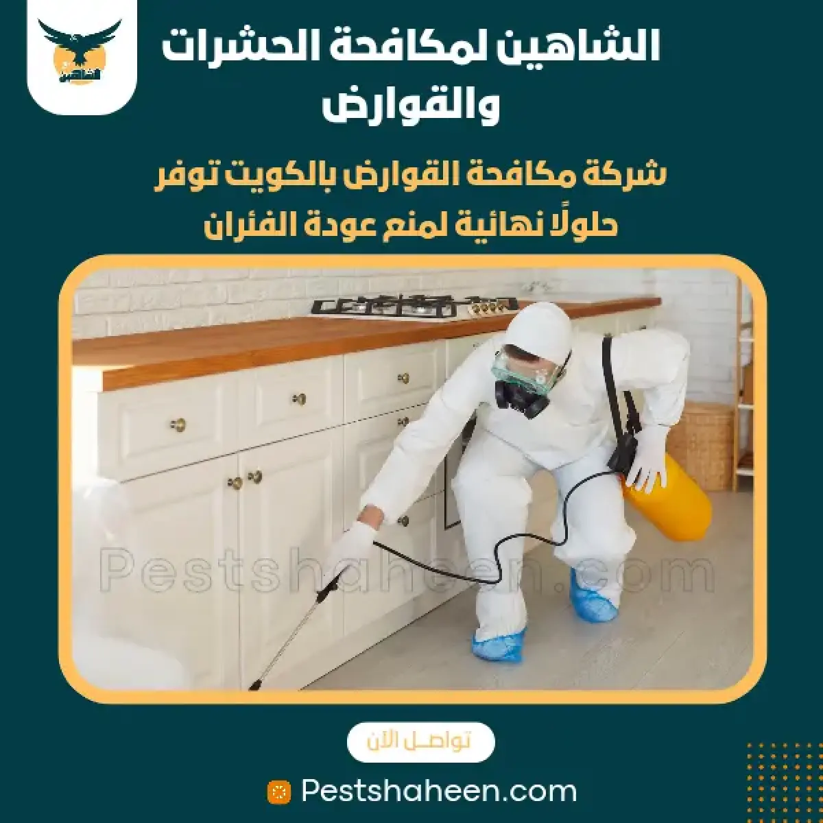 صورة من أعمالنا رقم 49