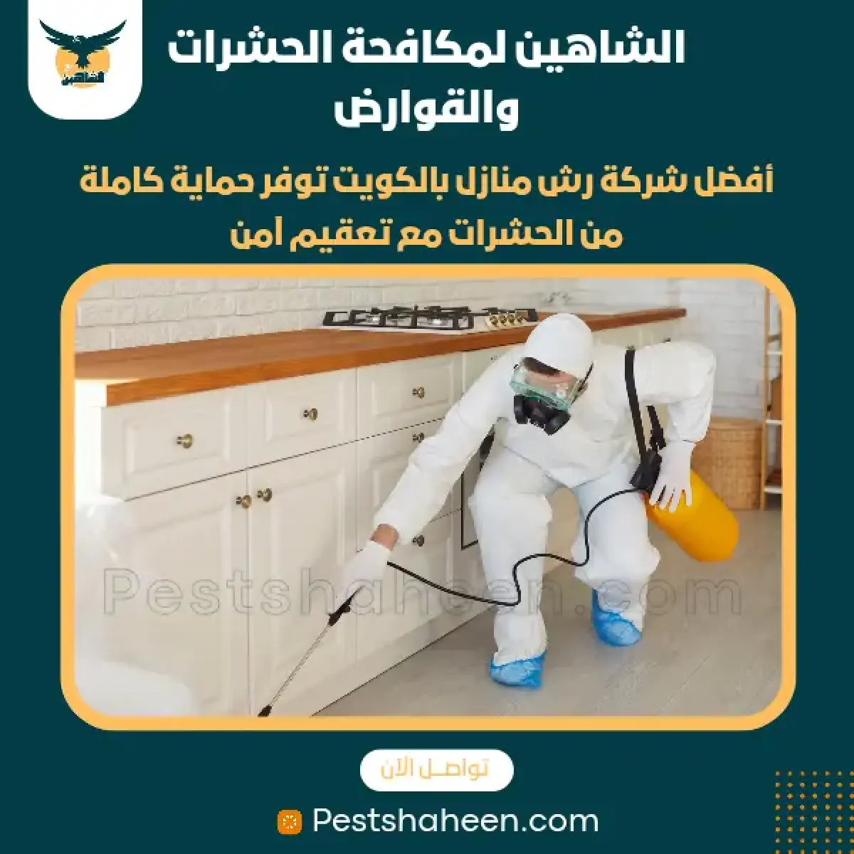 صورة من أعمالنا رقم 42