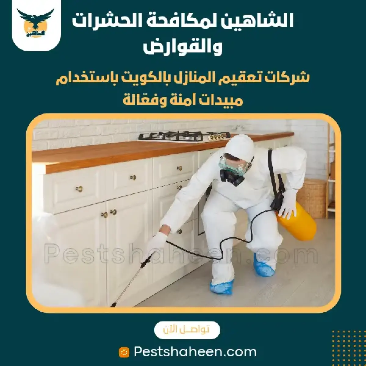 صورة من أعمالنا رقم 41