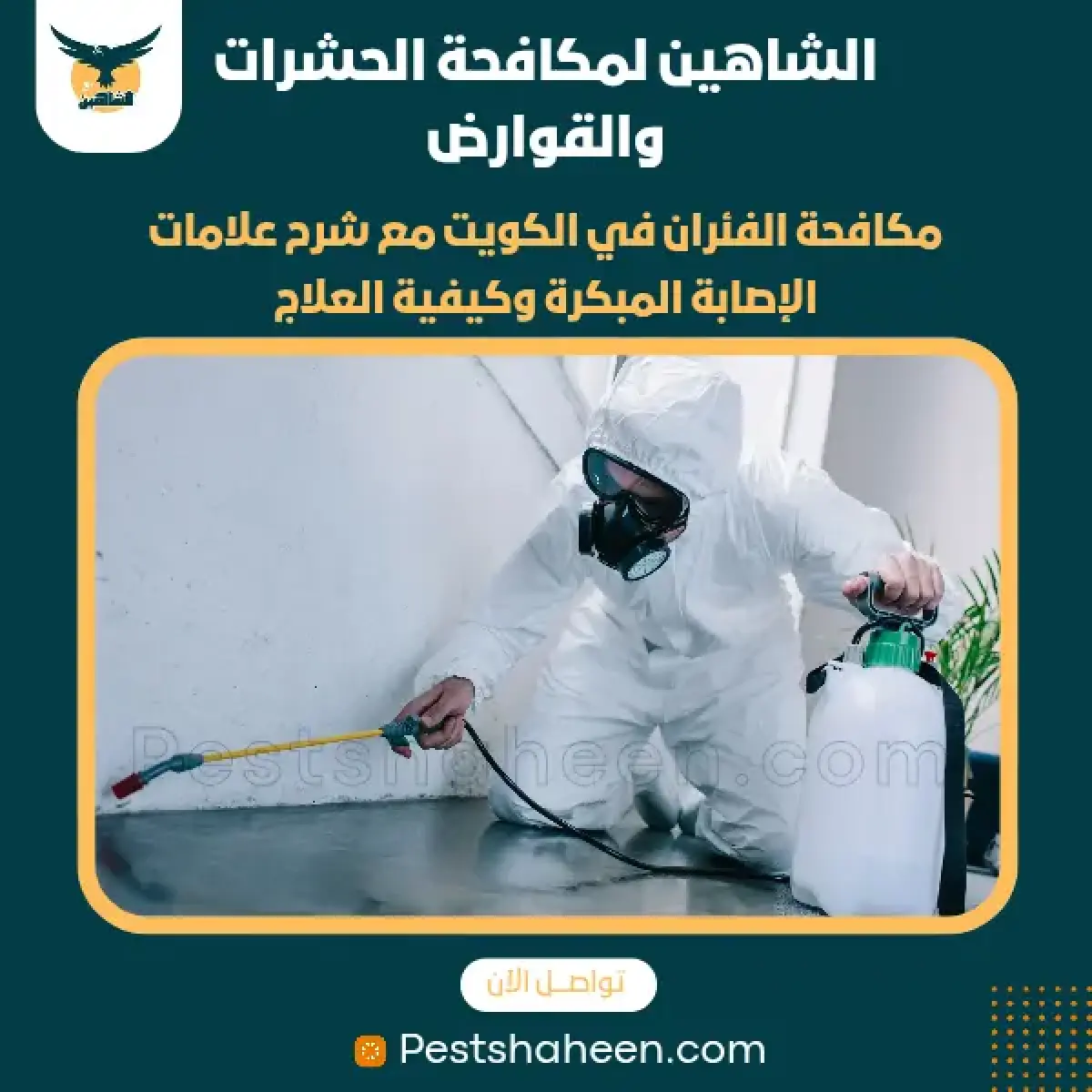 صورة من أعمالنا رقم 28
