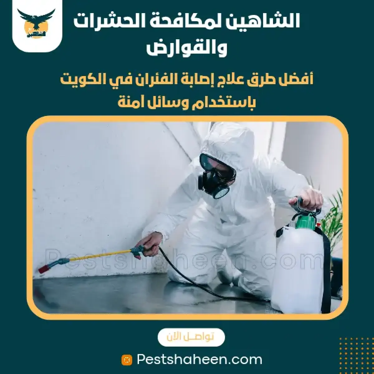 صورة من أعمالنا رقم 26