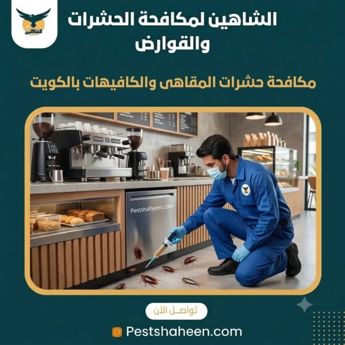 Technician applying cockroach gel bait under a café counter next to the espresso machine in Kuwait
